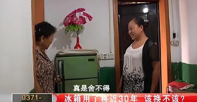如今三家易主只剩下一家成为一线品牌凯发app网站中国冰箱界的四朵金花(图6)