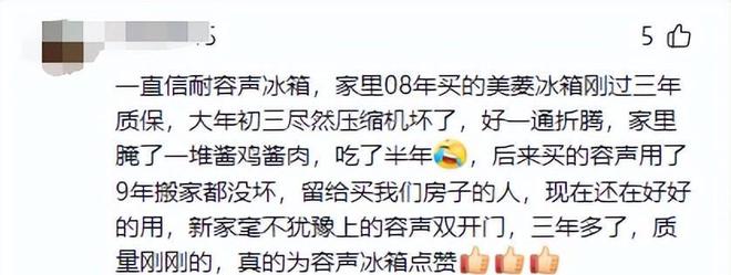 如今三家易主只剩下一家成为一线品牌凯发app网站中国冰箱界的四朵金花(图7)