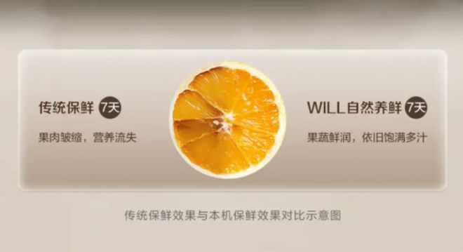 箱如何打破存量市场 “天花板”凯发首页登录一路狂飙看容声冰