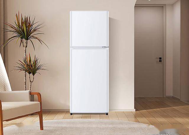 HTME0WT：849元145升双门节能冰箱凯发k8入口节能新选择海尔BCD-145L(图1)