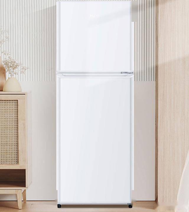 HTME0WT：849元145升双门节能冰箱凯发k8入口节能新选择海尔BCD-145L(图4)