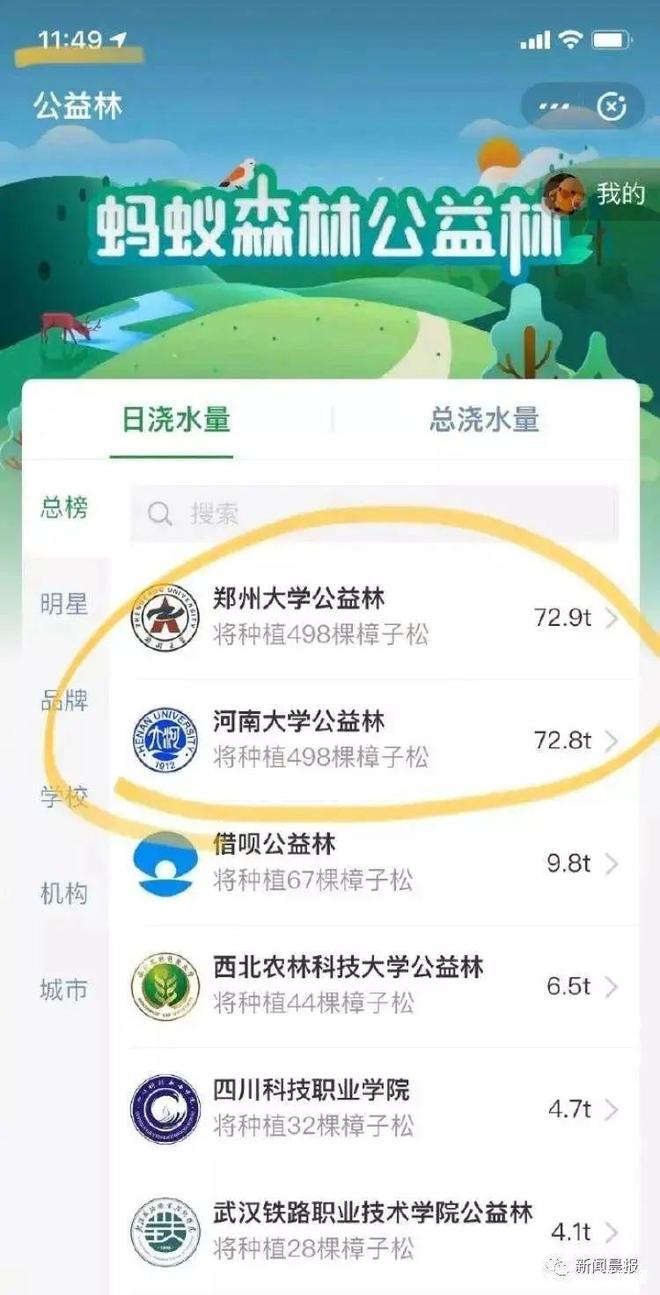 ”、“中国锦鲤之父”疑似离职阿里创业k8凯发国际入口“80万蓝V总教头(图12)
