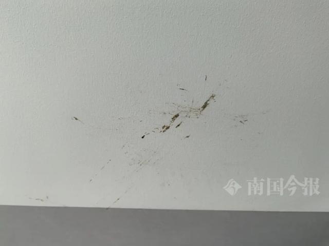 泡！业主崩溃：全屋都是无法接受AG凯发K8国际婚房被粪水浸(图9)