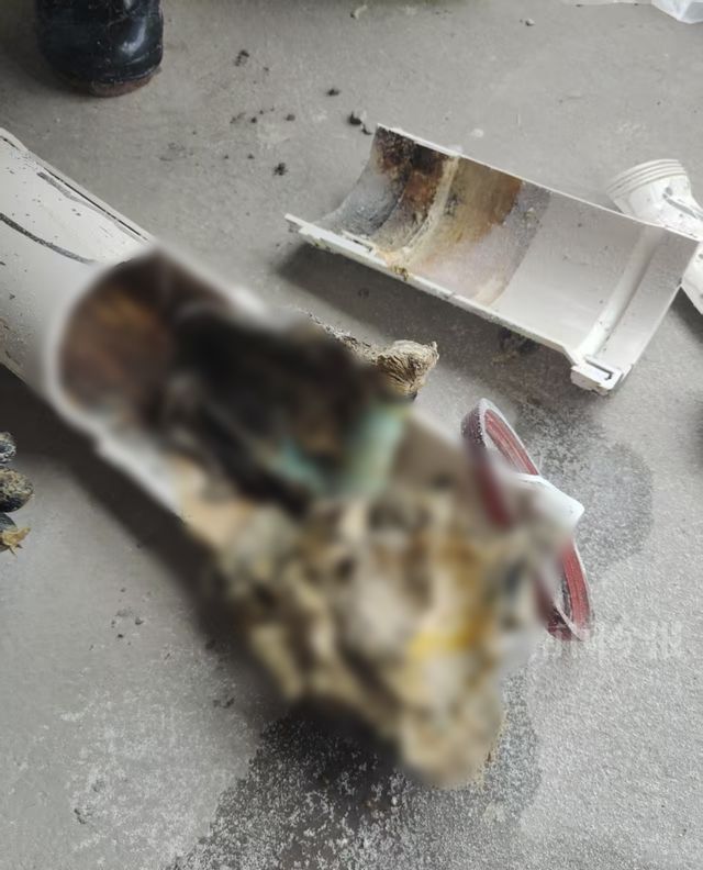 泡！业主崩溃：全屋都是无法接受AG凯发K8国际婚房被粪水浸(图5)