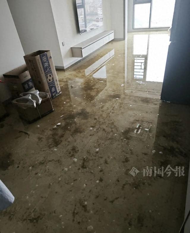 泡！业主崩溃：全屋都是无法接受AG凯发K8国际婚房被粪水浸(图4)