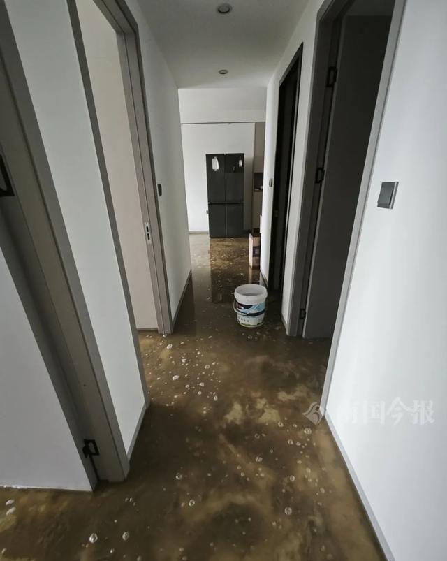 泡！业主崩溃：全屋都是无法接受AG凯发K8国际婚房被粪水浸(图7)