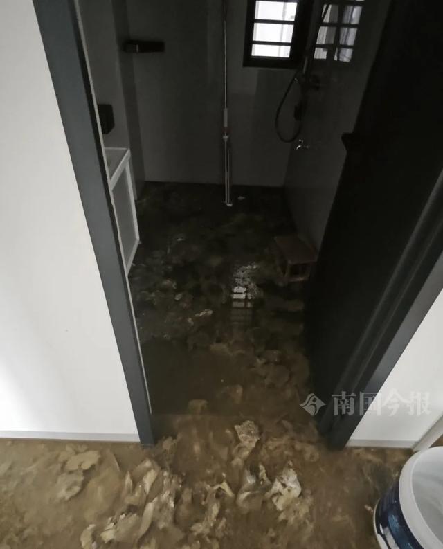 泡！业主崩溃：全屋都是无法接受AG凯发K8国际婚房被粪水浸(图3)