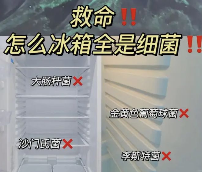 冰箱怎么选看这篇就够了凯发K8双十一来袭容声(图2)