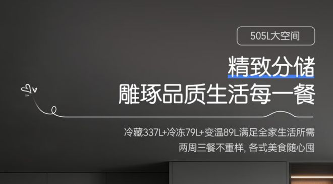冰箱怎么选看这篇就够了凯发K8双十一来袭容声(图4)